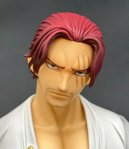 Others One Piece P.O.P Dx