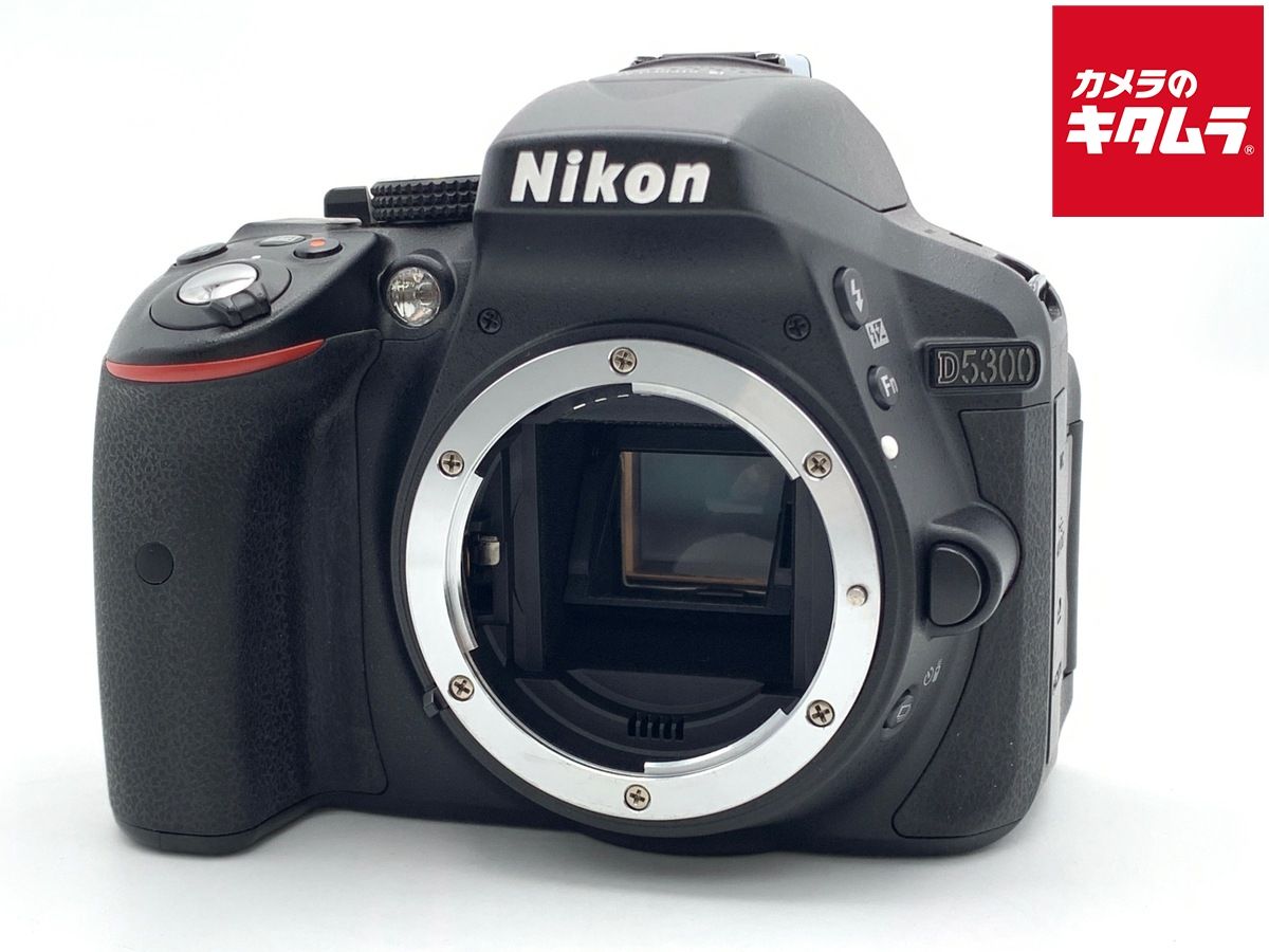 Digital Slr D5300