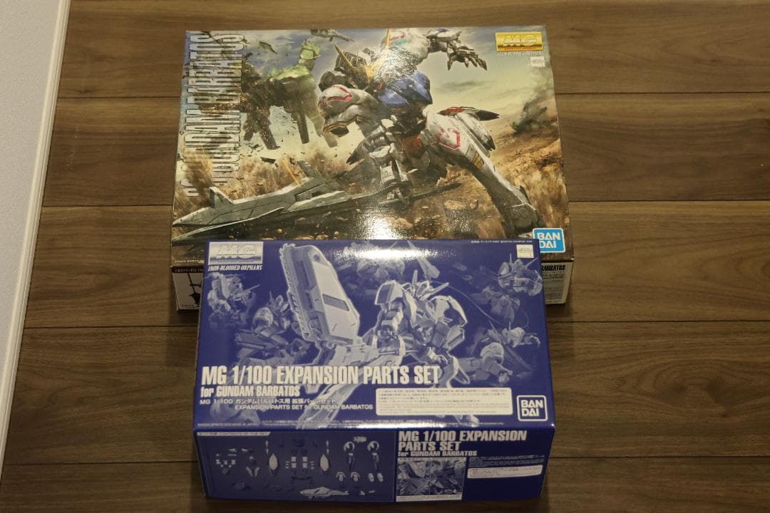 Premium Bandai Mg (Master Grade) 1/100