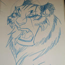 Illustrations