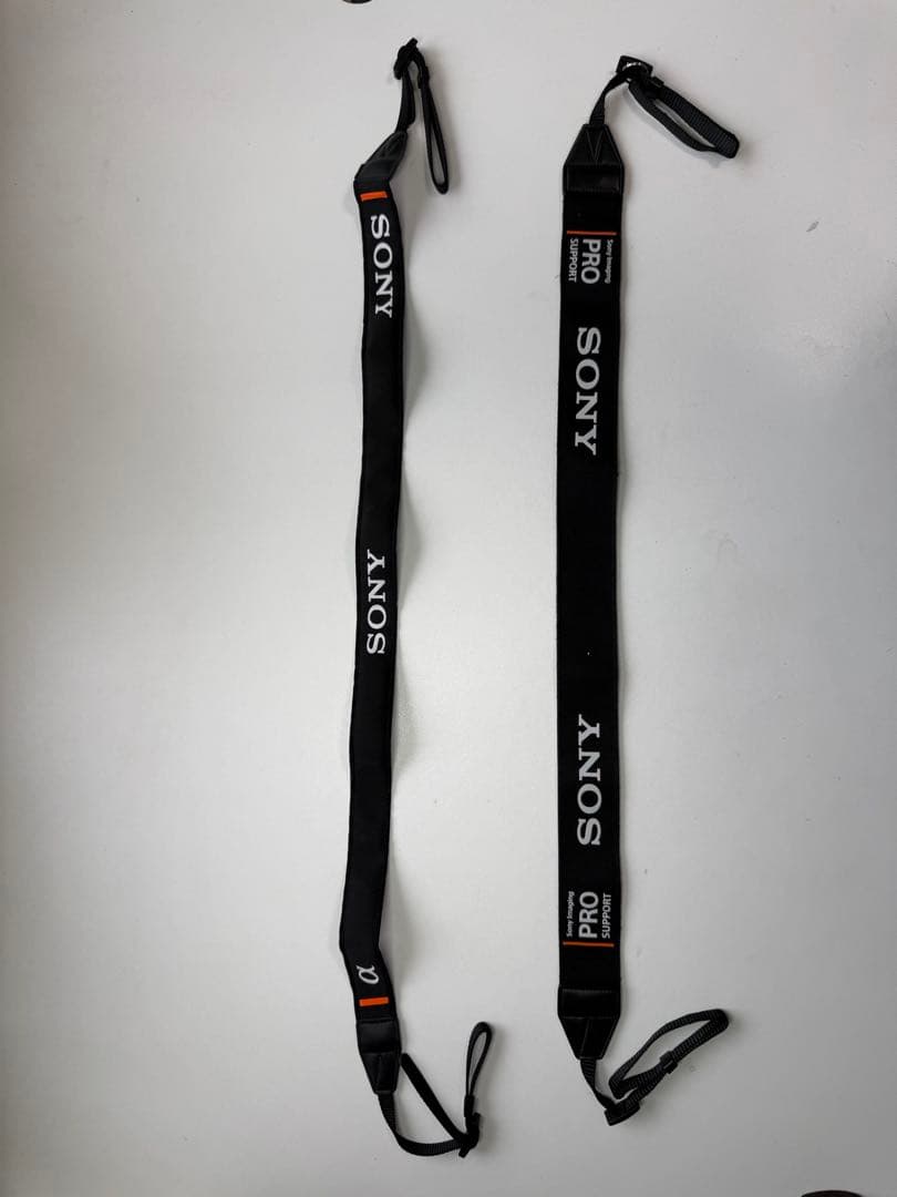 Sony Mirrorless Interchangeable Lens Cameras 6500