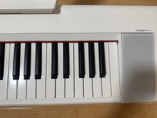 Yamaha Keyboards Digital Pianos Piaggero Np-15