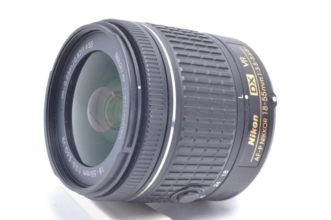 Nikon Digital Slrs D5600 W Or