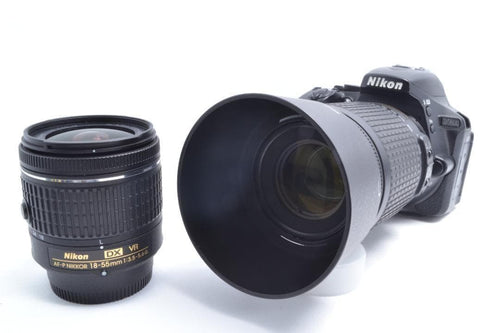 Nikon Digital Slrs D5600 W Or