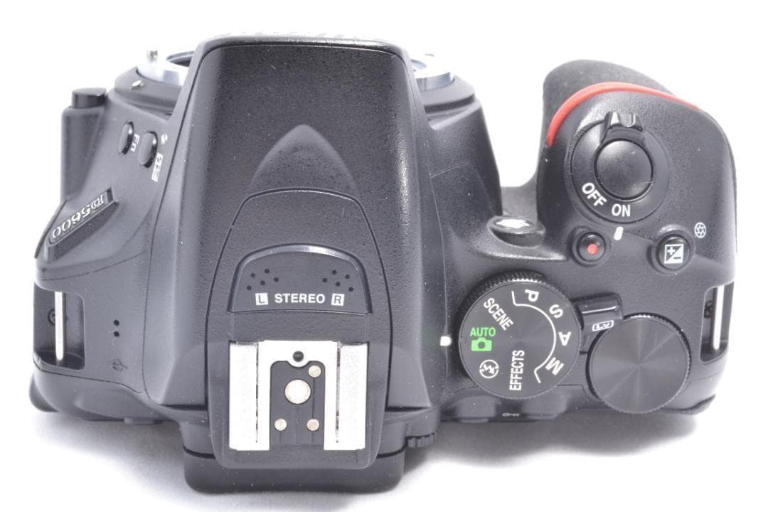 Nikon Digital Slrs D5600 W Or