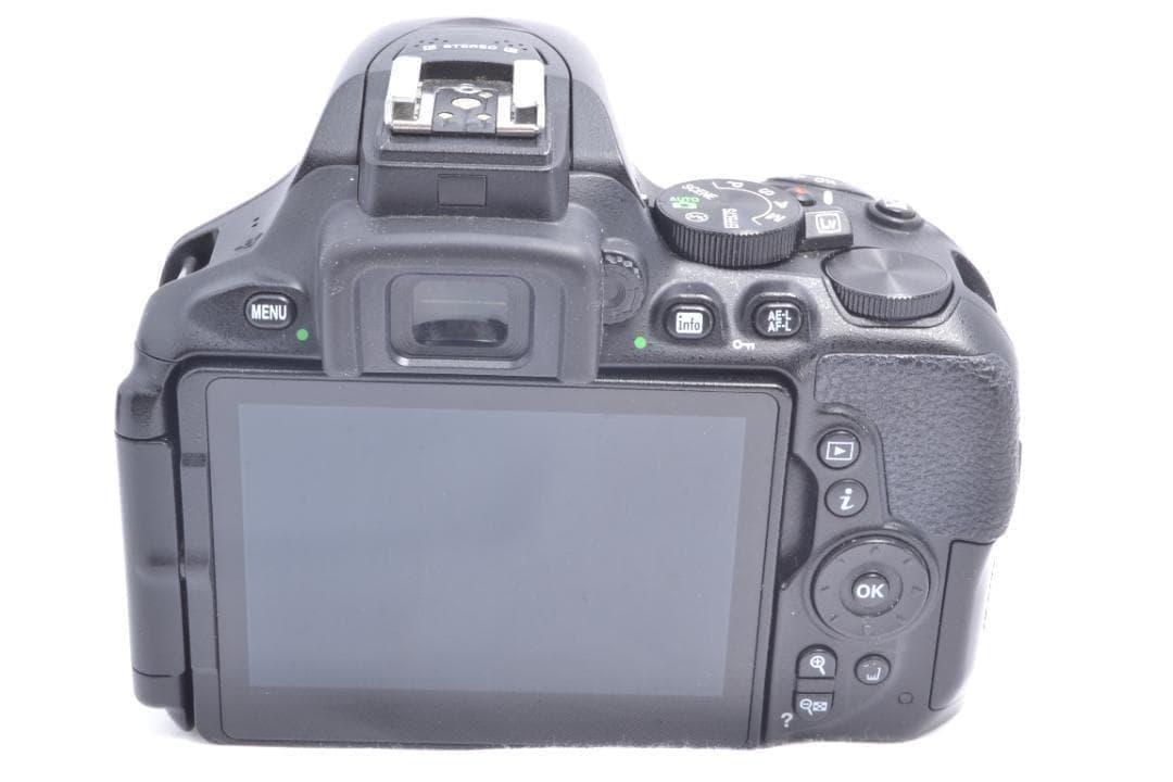 Nikon Digital Slrs D5600 W Or