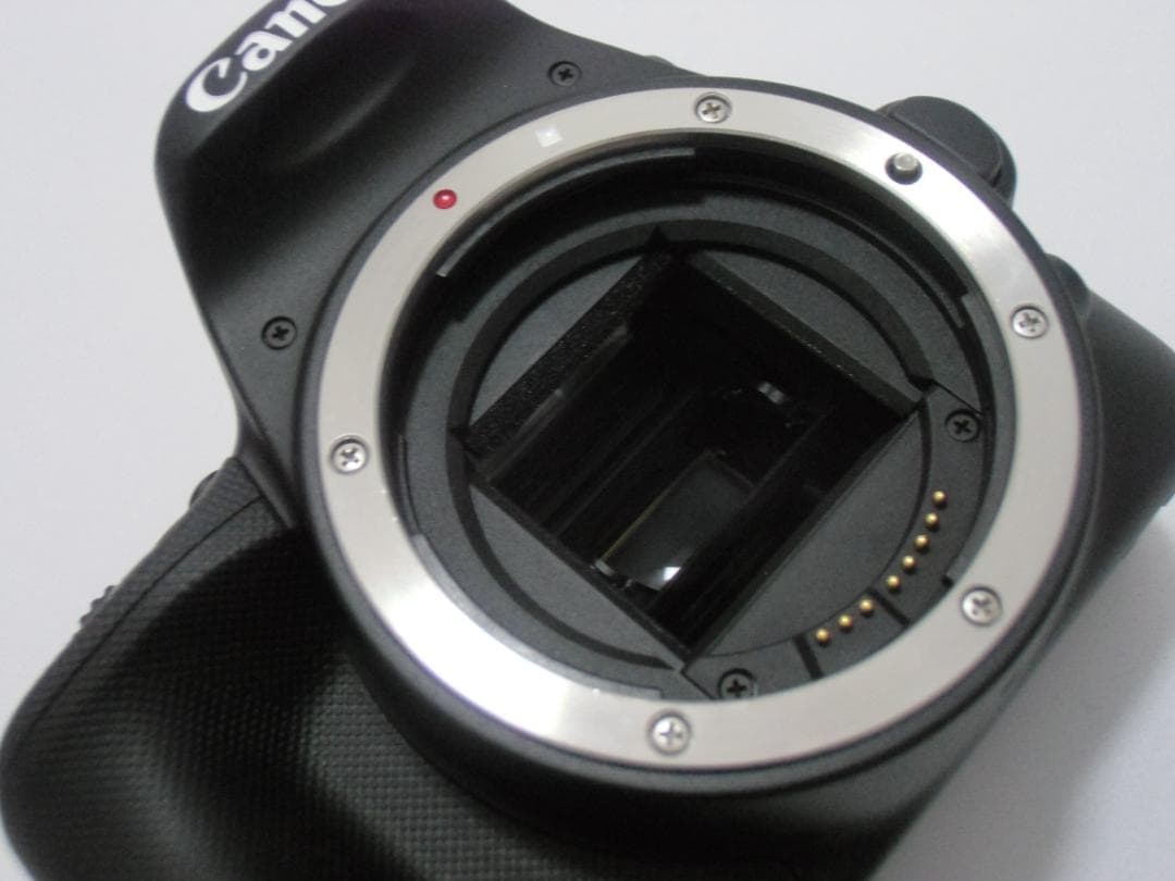 Reflex numériques Canon Eos Kiss X7 B034