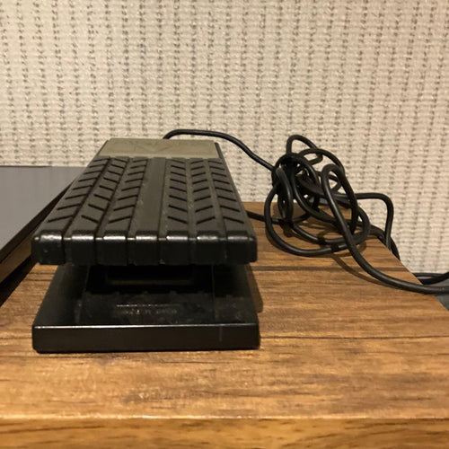 Roland Guitar Effects Units Ev-5