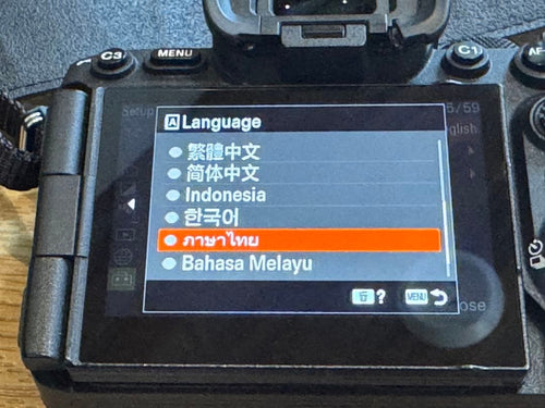 Sony Mirrorless Interchangeable Lens Cameras A7Rv Ilce-7Rm5 International Model
