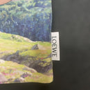 Loewe Bags Pouches