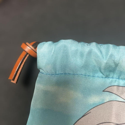 Loewe Bags Pouches