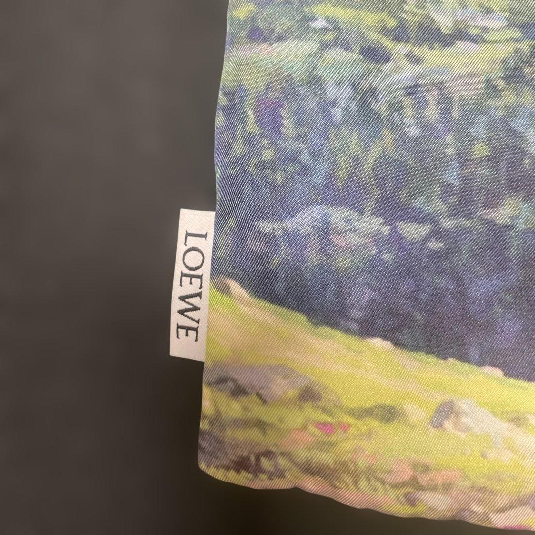Loewe Bags Pouches