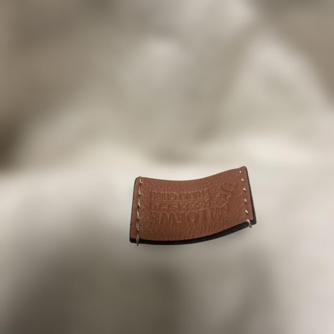 Loewe Bags Pouches