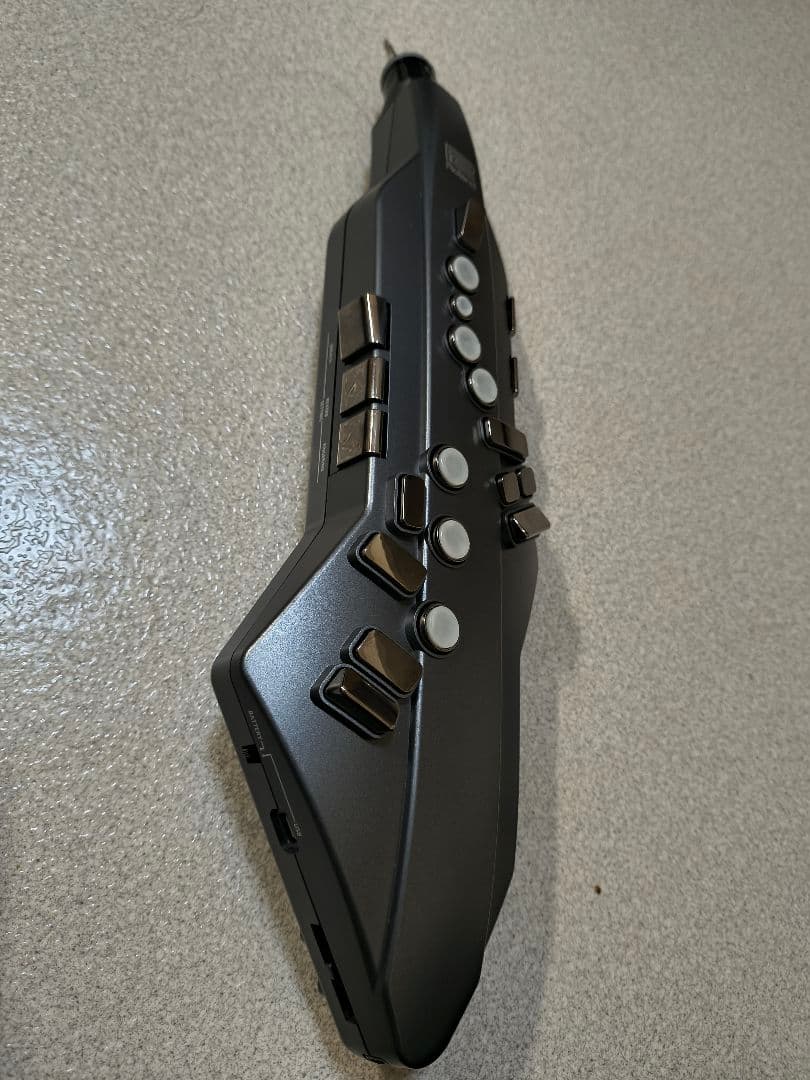 Roland Other Ae-05 Aerophone Go