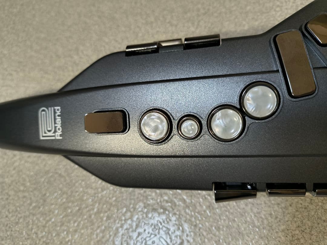 Roland Other Ae-05 Aerophone Go