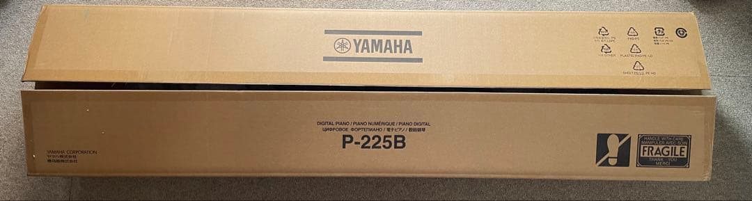 Yamaha Keyboards Digital Pianos P-225B 2025 12