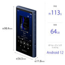 Sony Digital Audio Player Nw-A307 L A 64Gb