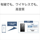 Sony Digital Audio Player Nw-A307 L A 64Gb