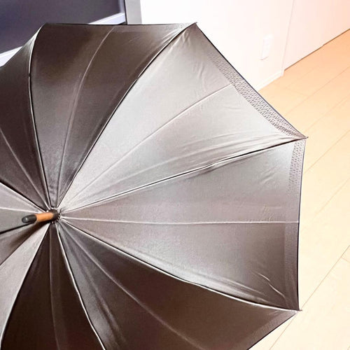 Fendi Rain Umbrellas