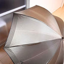 Fendi Rain Umbrellas