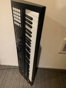 Roland Other Fa-06