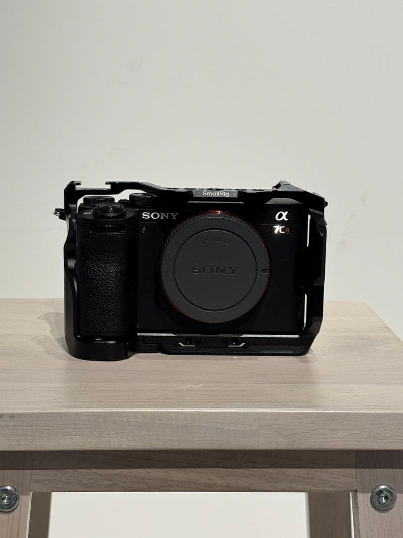 Sony Mirrorless Interchangeable Lips 7Cr 100