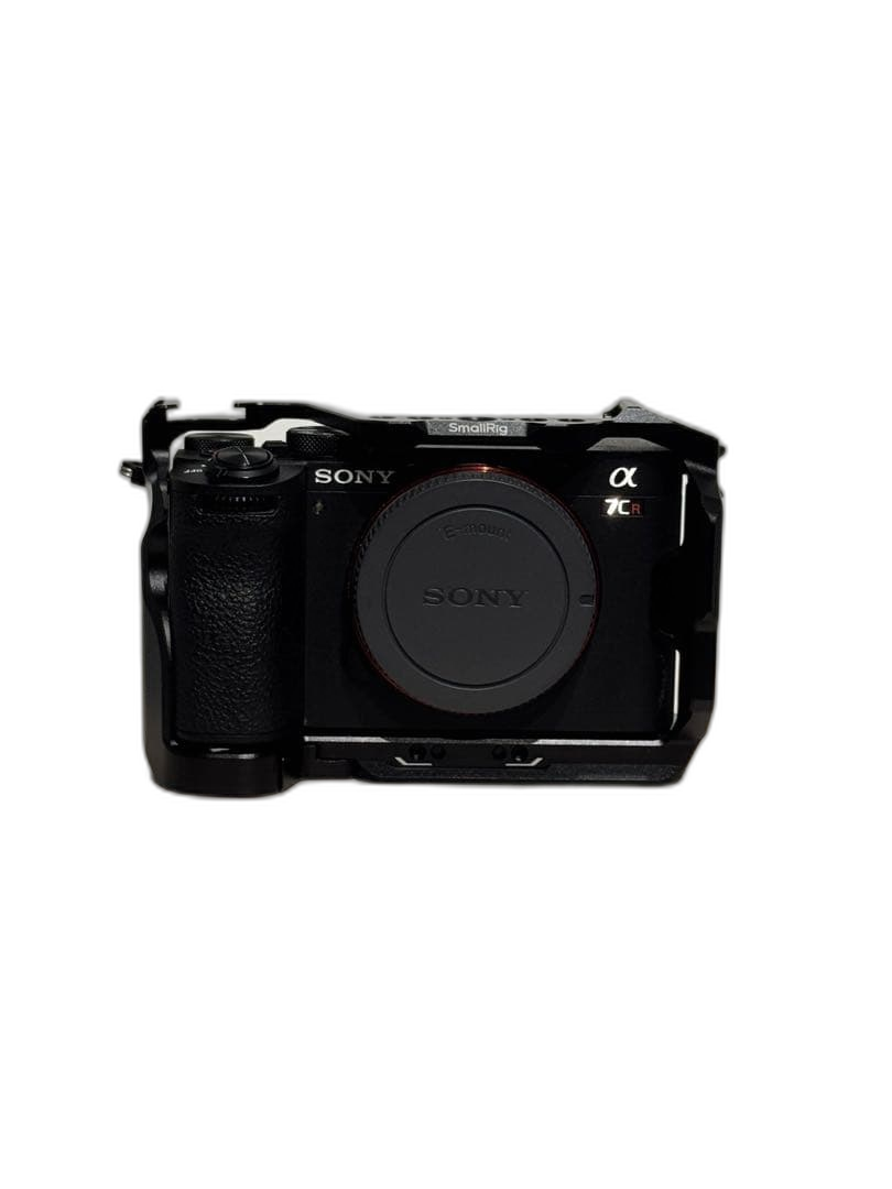 Sony Mirrorless Interchangeable Lips 7Cr 100