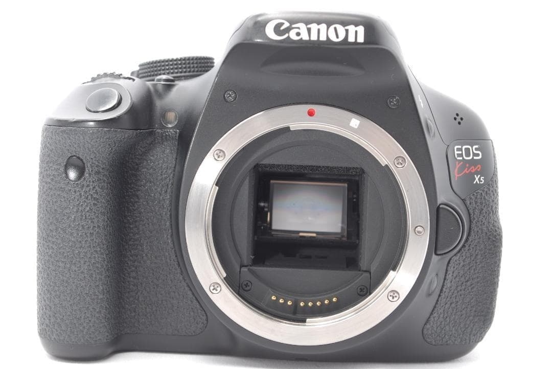 Canon Digital Slrs Kiss X5