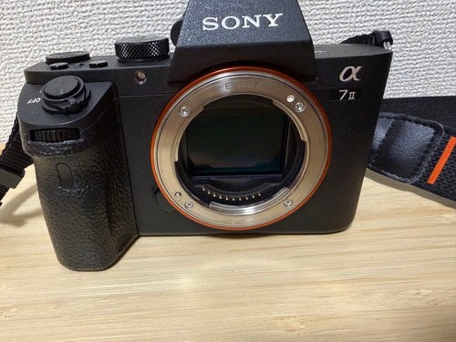 Sony Mirrorless Interchangeable Lens Cameras 7Ii