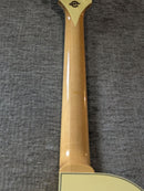 Gibson Electric Guitar