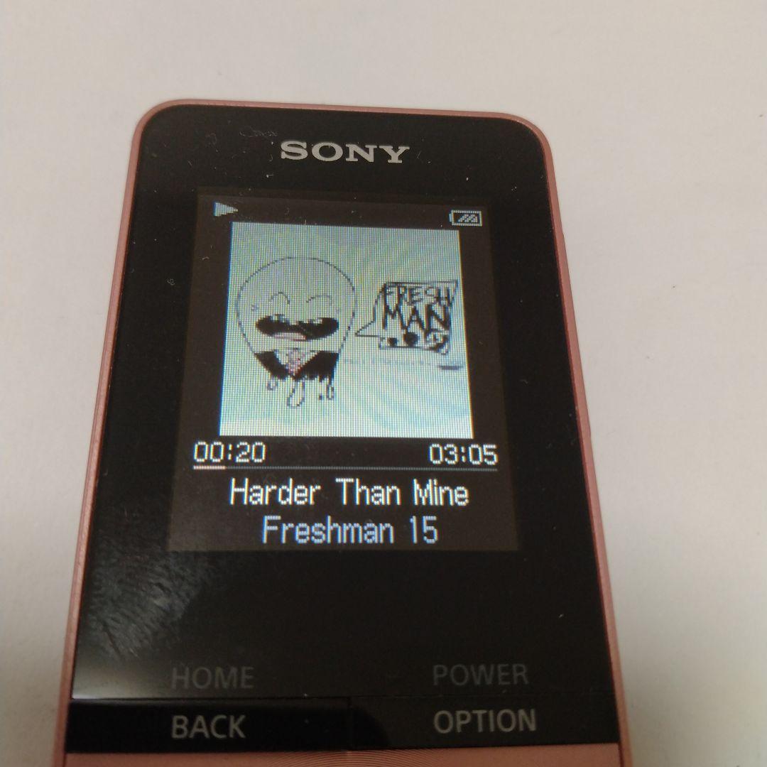 Digital Audio Players Nw-S315 16Gb