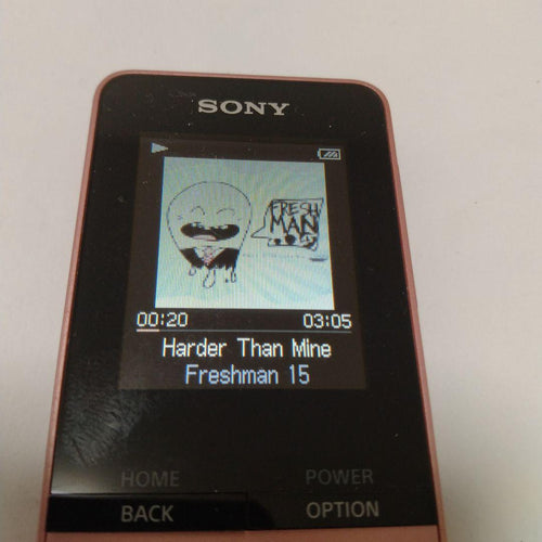 Digital Audio Players Nw-S315 16Gb
