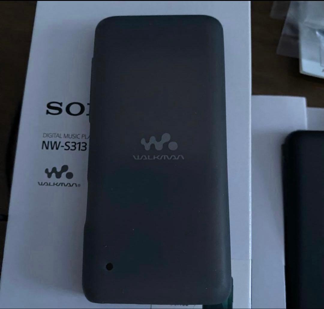 Sony Digital Audio Players Ns-S313
