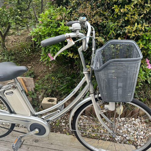 Yamaha City Type Passmile