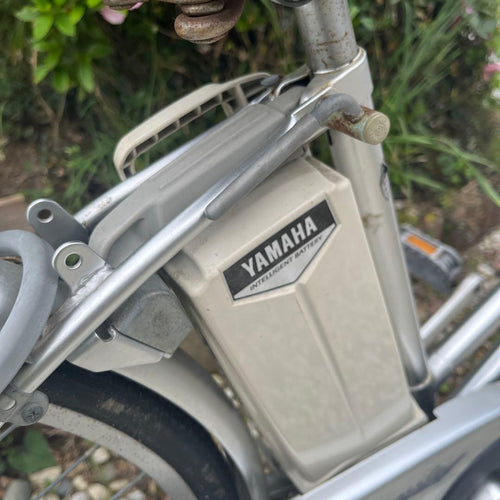 Yamaha City Type Passmile