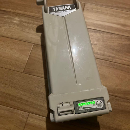 Yamaha City Type Passmile
