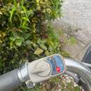 Yamaha City Type Passmile
