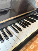 Yamaha Others 3 1980 Ux