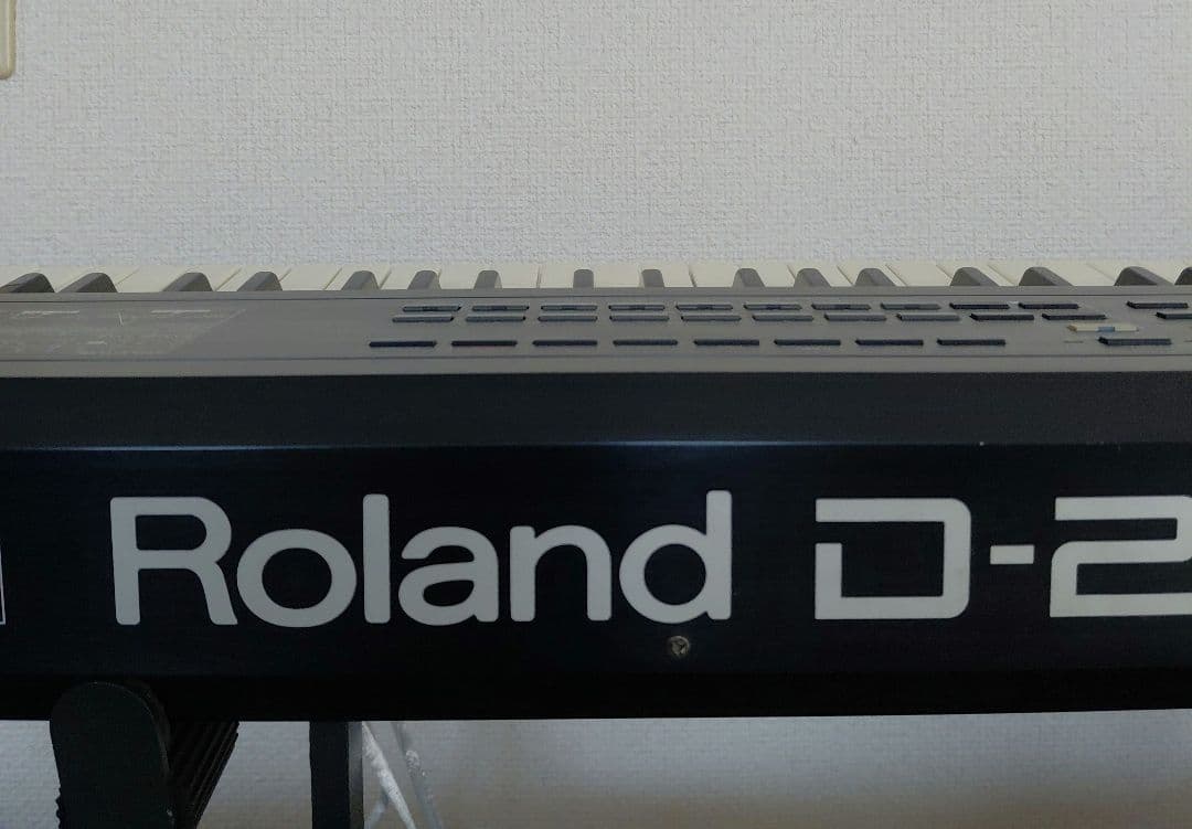 Roland Other D-20