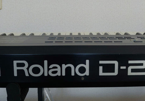 Roland Other D-20