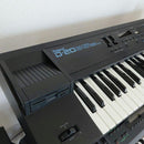 Roland Other D-20