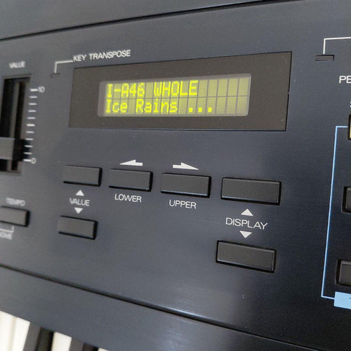 Roland Other D-20
