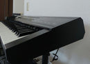 Roland Other D-20
