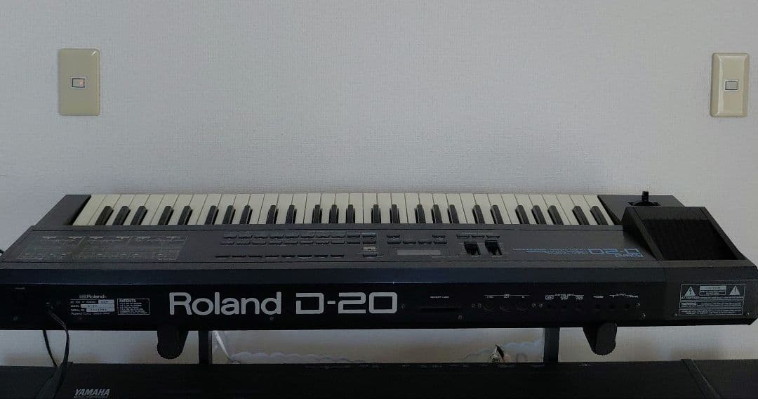 Roland Other D-20