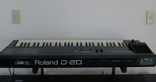 Roland Other D-20