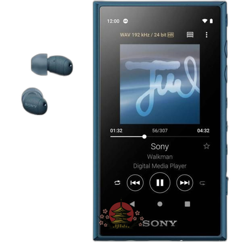 Sony Others 16Gb A Nw-A105Hn Mp3 Bluetooth Android