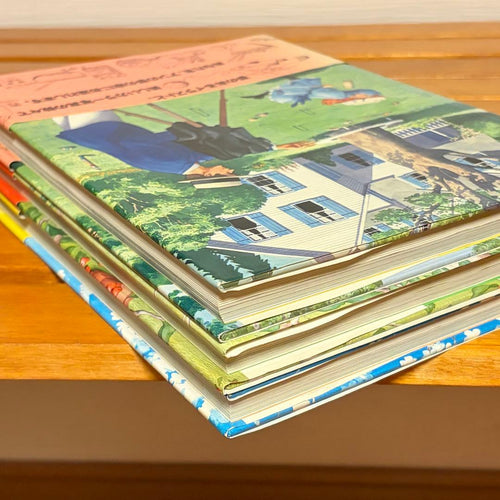 Picture Books Children S 3