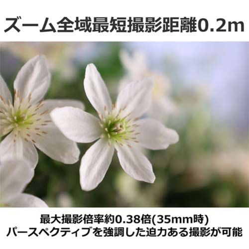 Canon Others Rf14-35Mm F4 L Is Usm Rf Rf1435F40Li