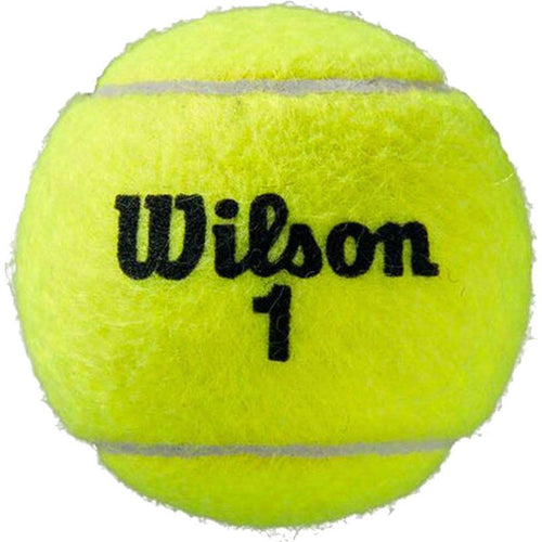 Wilson Others 24 Roland Garros Clay Tennis Ball (Wrt125000)