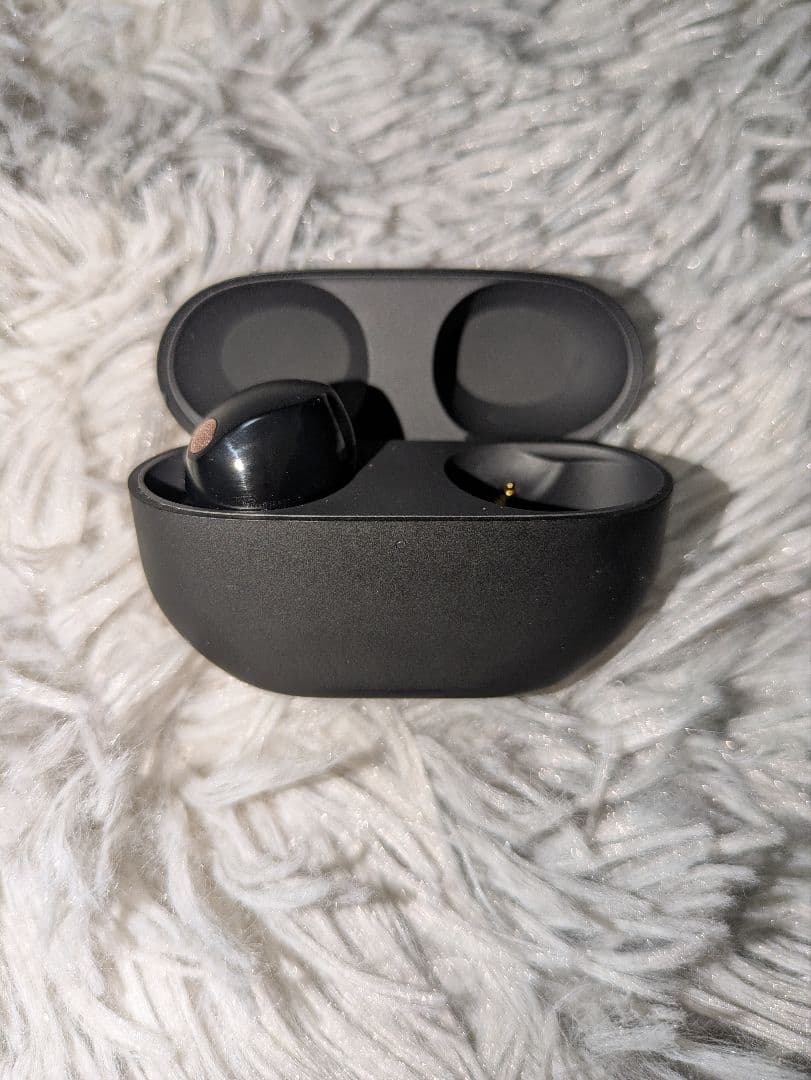 Sony Wireless Earphone Wf-1000Xm5
